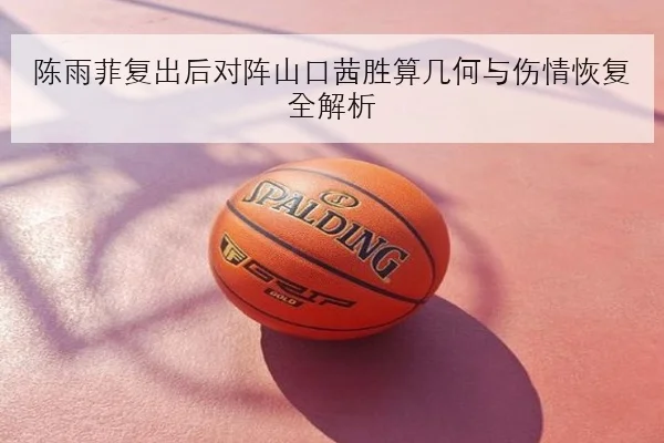 陈雨菲复出后对阵山口茜胜算几何与伤情恢复全解析